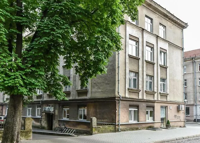 Liepu Str. * קלייפדה